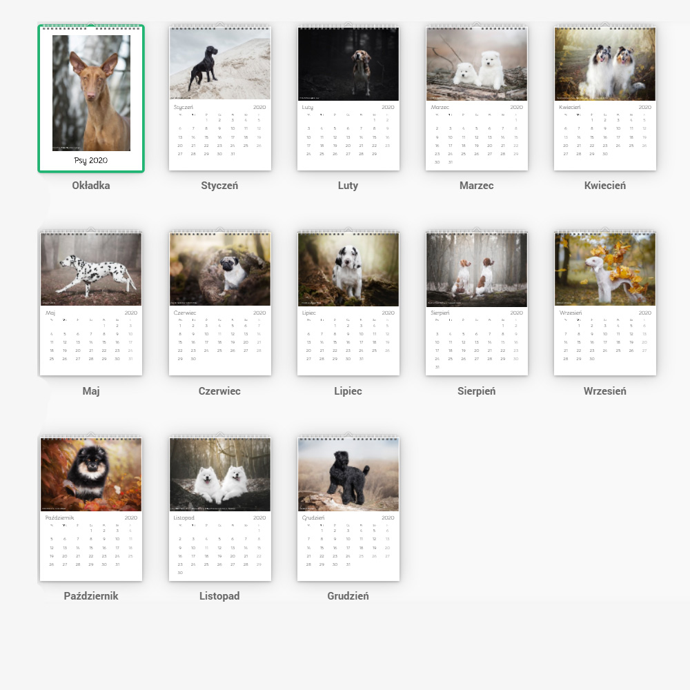 kalendarzy psy